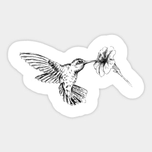 Hummingbird Sticker